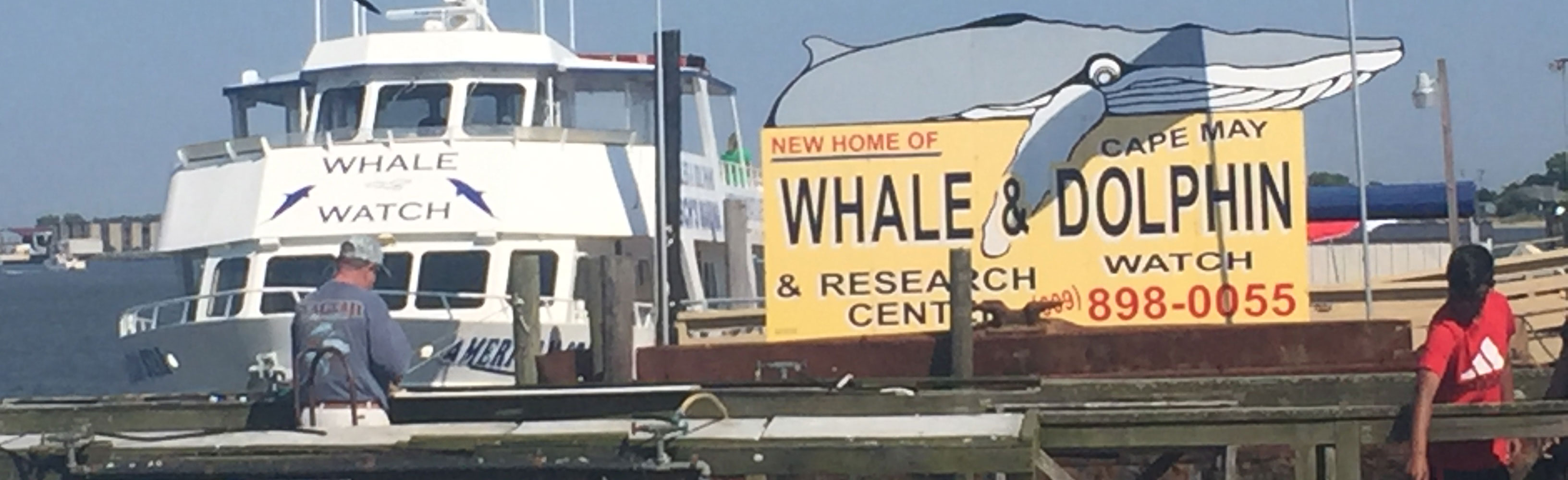 Whale Watch Boat